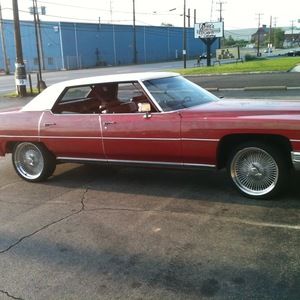 Meet your Posher, Louis